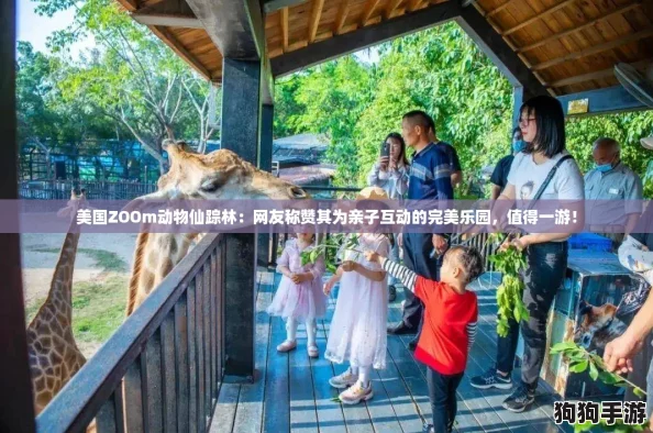 美国ZOOm动物仙踪林：网友称赞其为亲子互动的完美乐园，值得一游！
