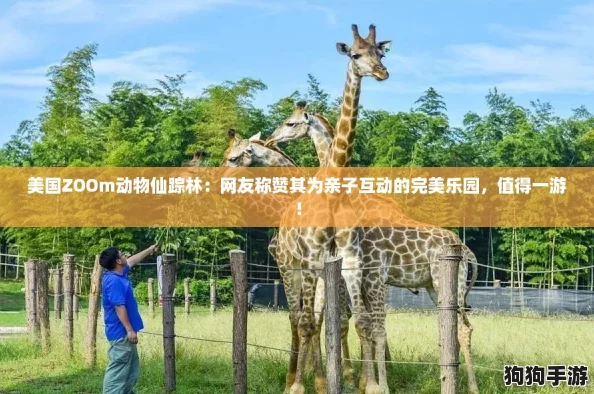 美国ZOOm动物仙踪林:网友称赞其为亲子互动的完美乐园,值得一游! 美国ZOOm动物仙踪林:网友称赞其为亲子互动的完美乐园,值得一游!