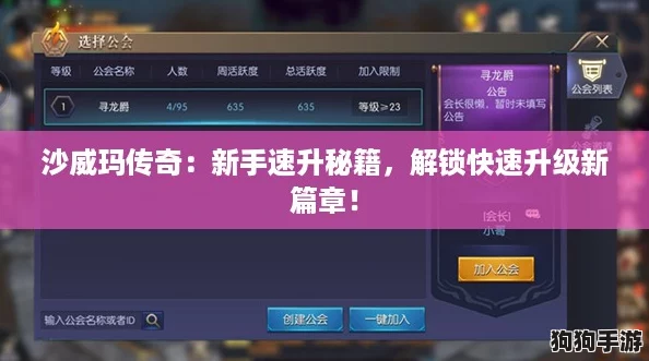 沙威玛传奇：新手速升秘籍，解锁快速升级新篇章！