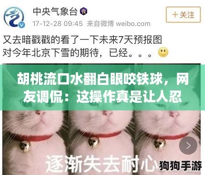 胡桃流口水翻白眼咬铁球,网友调侃:这操作真是让人忍俊不禁! 胡桃流口水翻白眼咬铁球,网友调侃:这操作真是让人忍俊不禁!