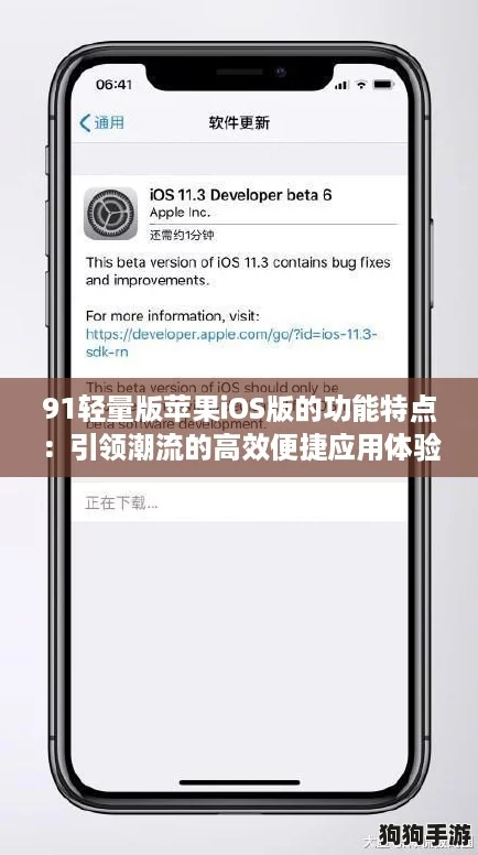 91轻量版苹果iOS版的功能特点：引领潮流的高效便捷应用体验