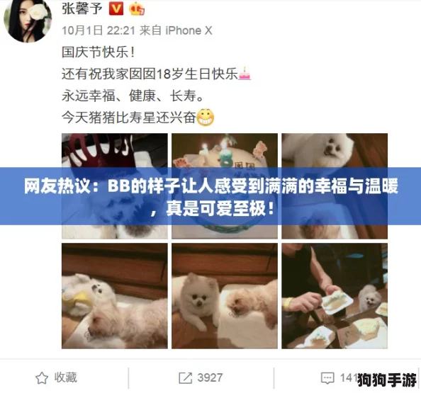 网友热议：BB的样子让人感受到满满的幸福与温暖，真是可爱至极！