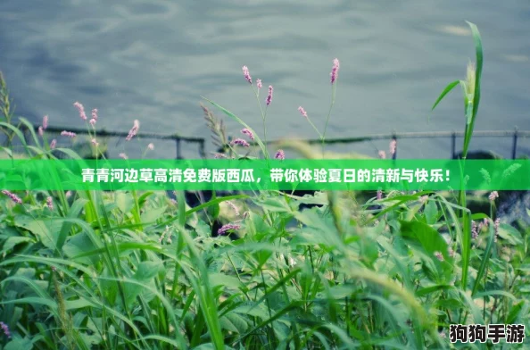 青青河边草高清免费版西瓜，带你体验夏日的清新与快乐！