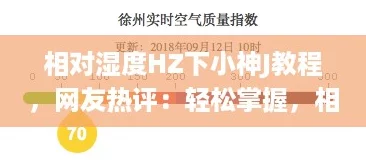 相对湿度HZ下小神J教程，网友热评：轻松掌握，相见恨晚的实用技巧分享！