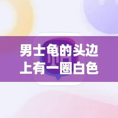 男士龟的头边上有一圈白色是什么？揭秘这个网络热词背后的真相！