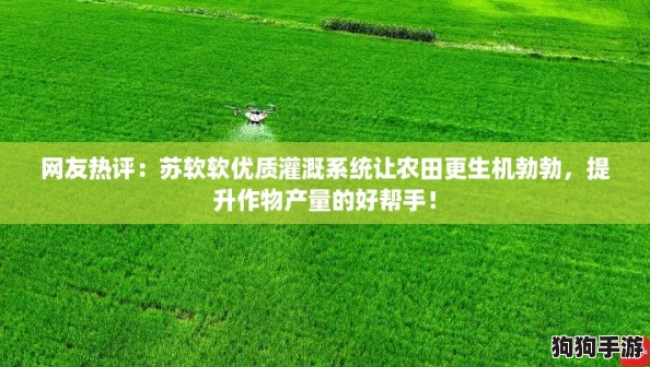 网友热评：苏软软优质灌溉系统让农田更生机勃勃，提升作物产量的好帮手！