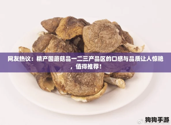 网友热议：精产国蘑菇品一二三产品区的口感与品质让人惊艳，值得推荐！