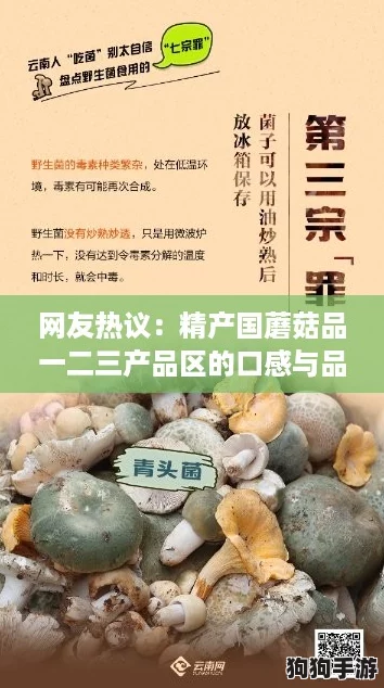 网友热议:精产国蘑菇品一二三产品区的口感与品质让人惊艳,值得推荐! 网友热议:精产国蘑菇品一二三产品区的口感与品质让人惊艳,值得推荐!
