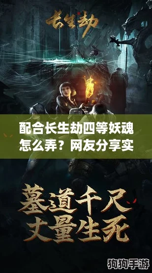 配合长生劫四等妖魂怎么弄？网友分享实用技巧与经验，助你轻松攻略！