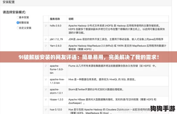 9I破解版安装的网友评语:简单易用,完美解决了我的需求! 9I破解版安装的网友评语:简单易用,完美解决了我的需求!