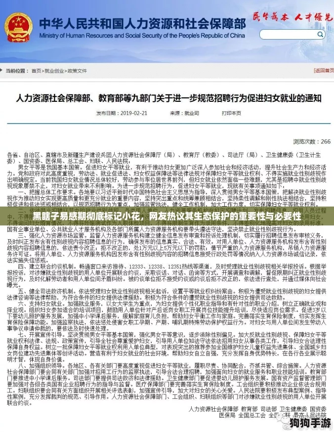黑瞎子易感期彻底标记小花，网友热议其生态保护的重要性与必要性