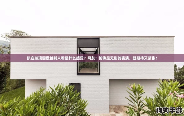 趴在玻璃窗做给别人看是什么感觉?网友:仿佛是无形的表演,既期待又紧张! 趴在玻璃窗做给别人看是什么感觉?网友:仿佛是无形的表演,既期待又紧张!