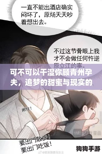 可不可以干湿你顾青州孕夫，追梦的甜蜜与现实的冲突