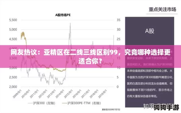 网友热议：亚精区在二线三线区别99，究竟哪种选择更适合你？