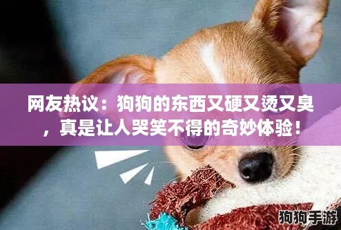 网友热议：狗狗的东西又硬又烫又臭，真是让人哭笑不得的奇妙体验！