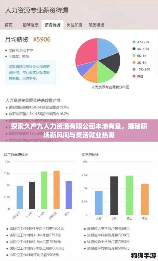 探索久产九人力资源有限公司丰沛有鱼，揭秘职场新风向与灵活就业热潮