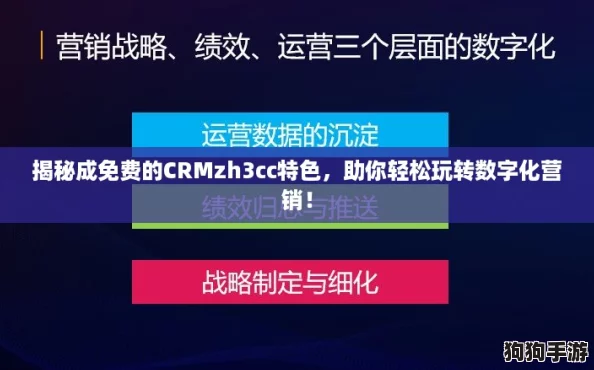 揭秘成免费的CRMzh3cc特色，助你轻松玩转数字化营销！
