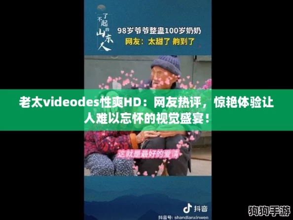 老太videodes性爽HD：网友热评，惊艳体验让人难以忘怀的视觉盛宴！