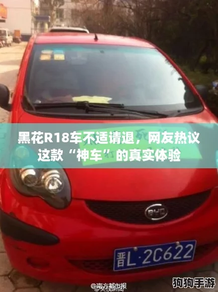 黑花R18车不适请退，网友热议这款“神车”的真实体验