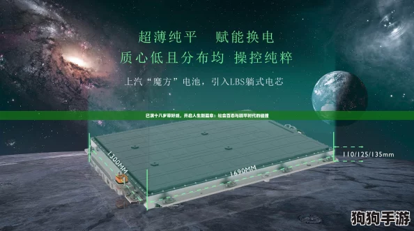 已满十八岁带好纸，开启人生新篇章：社会百态与躺平时代的碰撞