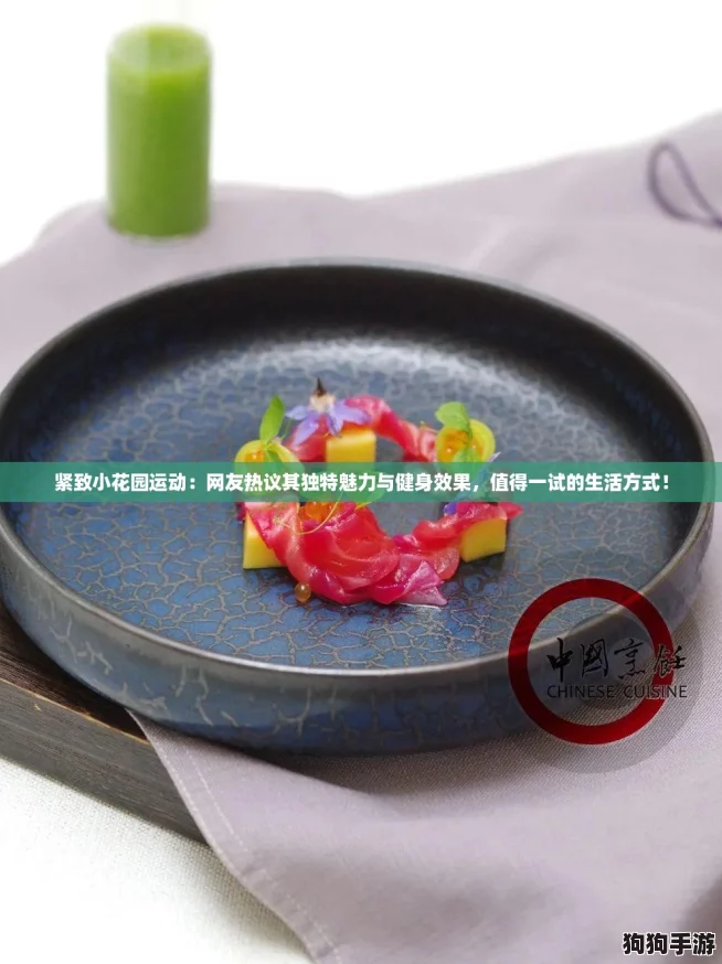 紧致小花园运动：网友热议其独特魅力与健身效果，值得一试的生活方式！