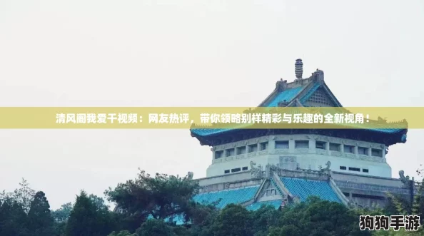 清风阁我爱干视频：网友热评，带你领略别样精彩与乐趣的全新视角！