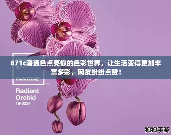 871c潘通色点亮你的色彩世界，让生活变得更加丰富多彩，网友纷纷点赞！