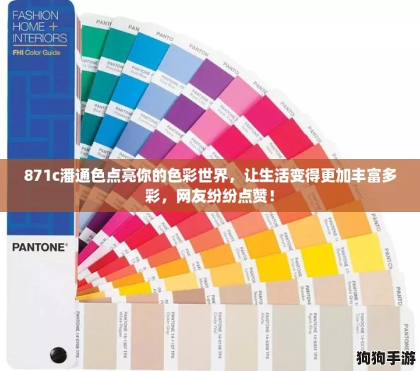 871c潘通色点亮你的色彩世界，让生活变得更加丰富多彩，网友纷纷点赞！