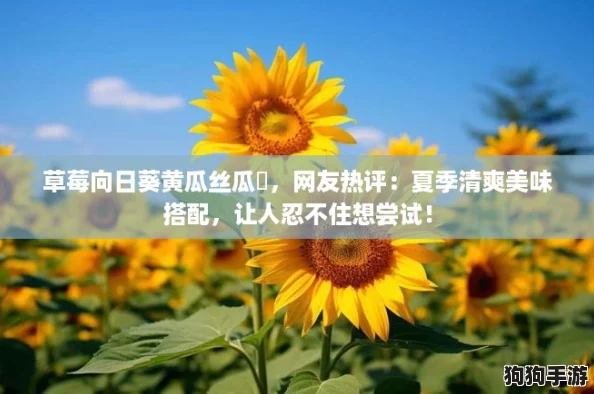草莓向日葵黄瓜丝瓜汅，网友热评：夏季清爽美味搭配，让人忍不住想尝试！