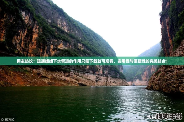 网友热议：疏通姐姐下水管道的作用只需下载就可观看，实用性与便捷性的完美结合！