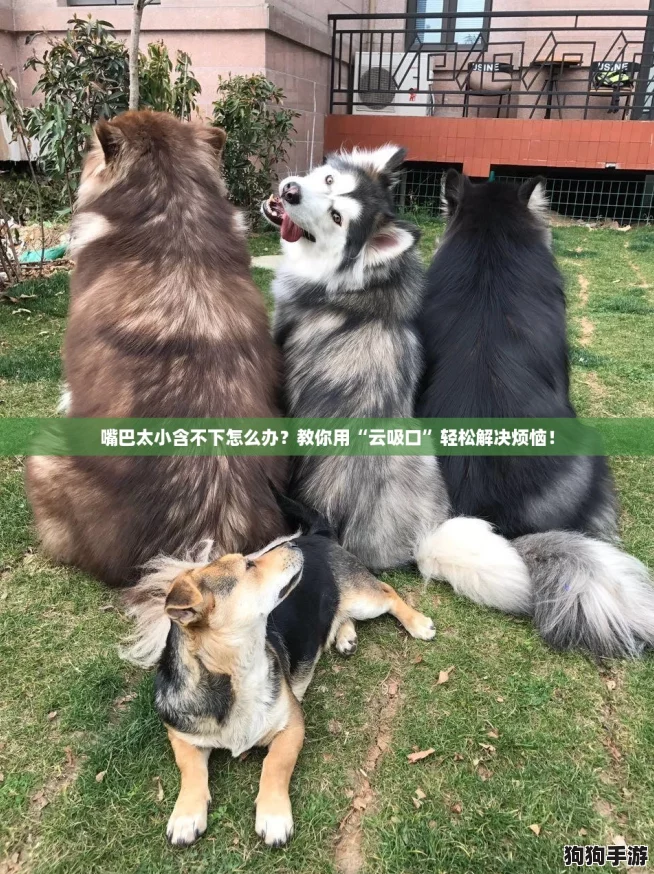 嘴巴太小含不下怎么办？教你用“云吸口”轻松解决烦恼！