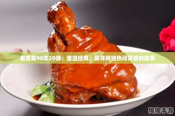 老虎菜98年20弹:重温经典,探寻网络热词背后的故事 老虎菜98年20弹:重温经典,探寻网络热词背后的故事
