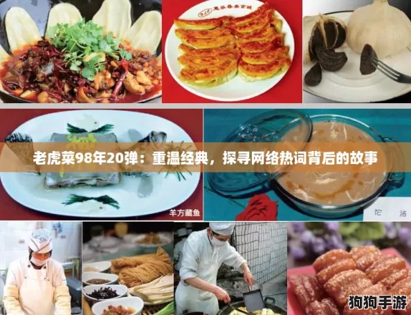 老虎菜98年20弹:重温经典,探寻网络热词背后的故事 老虎菜98年20弹:重温经典,探寻网络热词背后的故事