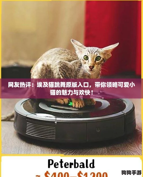 网友热评：埃及猫跳舞原版入口，带你领略可爱小猫的魅力与欢快！