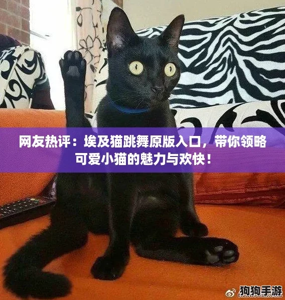 网友热评:埃及猫跳舞原版入口,带你领略可爱小猫的魅力与欢快! 网友热评:埃及猫跳舞原版入口,带你领略可爱小猫的魅力与欢快!