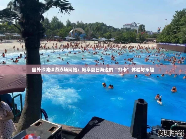 国外沙滩课游泳场网站：畅享夏日海边的“打卡”体验与乐趣