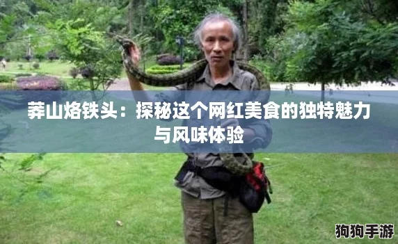 莽山烙铁头：探秘这个网红美食的独特魅力与风味体验