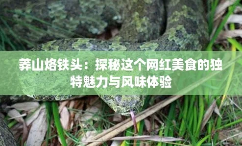 莽山烙铁头:探秘这个网红美食的独特魅力与风味体验 莽山烙铁头:探秘这个网红美食的独特魅力与风味体验