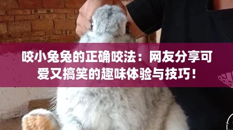 咬小兔兔的正确咬法:网友分享可爱又搞笑的趣味体验与技巧! 咬小兔兔的正确咬法:网友分享可爱又搞笑的趣味体验与技巧!