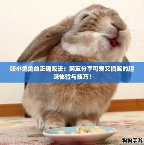 咬小兔兔的正确咬法:网友分享可爱又搞笑的趣味体验与技巧! 咬小兔兔的正确咬法:网友分享可爱又搞笑的趣味体验与技巧!