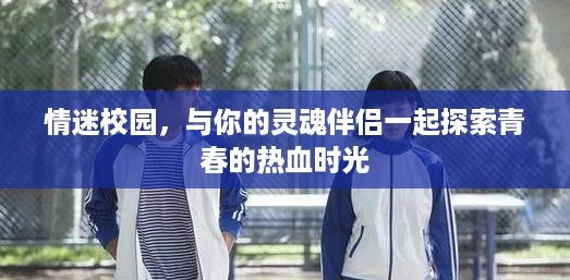 情迷校园,与你的灵魂伴侣一起探索青春的热血时光 情迷校园,与你的灵魂伴侣一起探索青春的热血时光