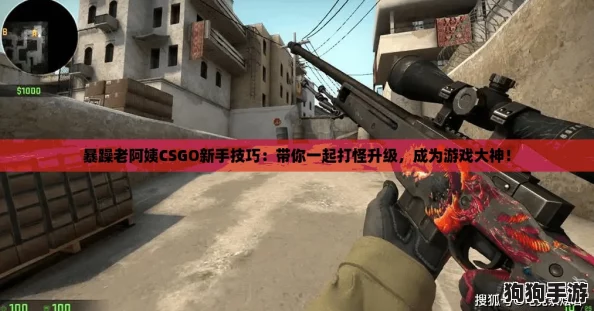 暴躁老阿姨CSGO新手技巧：带你一起打怪升级，成为游戏大神！