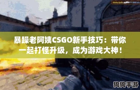 暴躁老阿姨CSGO新手技巧：带你一起打怪升级，成为游戏大神！