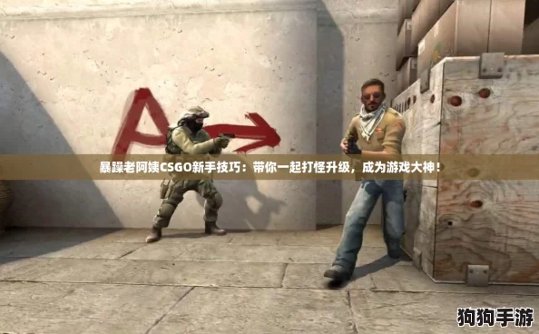 暴躁老阿姨CSGO新手技巧：带你一起打怪升级，成为游戏大神！