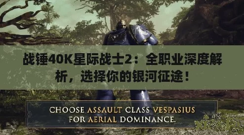战锤40K星际战士2：全职业深度解析，选择你的银河征途！