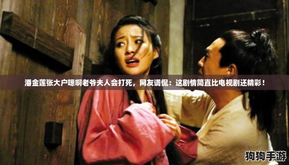潘金莲张大户嗯啊老爷夫人会打死，网友调侃：这剧情简直比电视剧还精彩！
