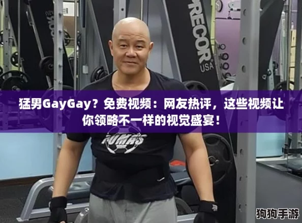 猛男GayGay？免费视频：网友热评，这些视频让你领略不一样的视觉盛宴！