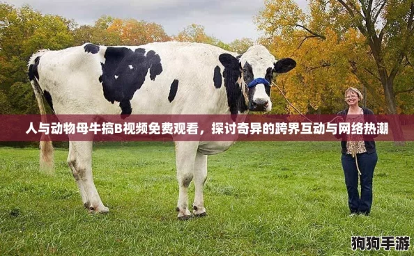人与动物母牛搞B视频免费观看，探讨奇异的跨界互动与网络热潮