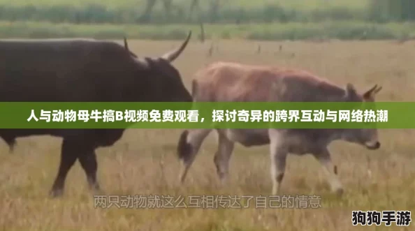 人与动物母牛搞B视频免费观看,探讨奇异的跨界互动与网络热潮 人与动物母牛搞B视频免费观看,探讨奇异的跨界互动与网络热潮