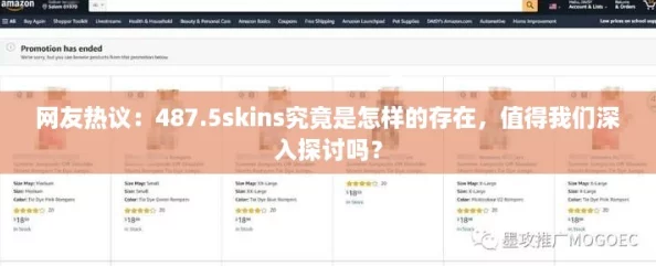 网友热议：487.5skins究竟是怎样的存在，值得我们深入探讨吗？